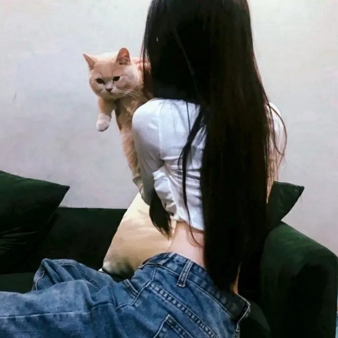 朵拉的安宁